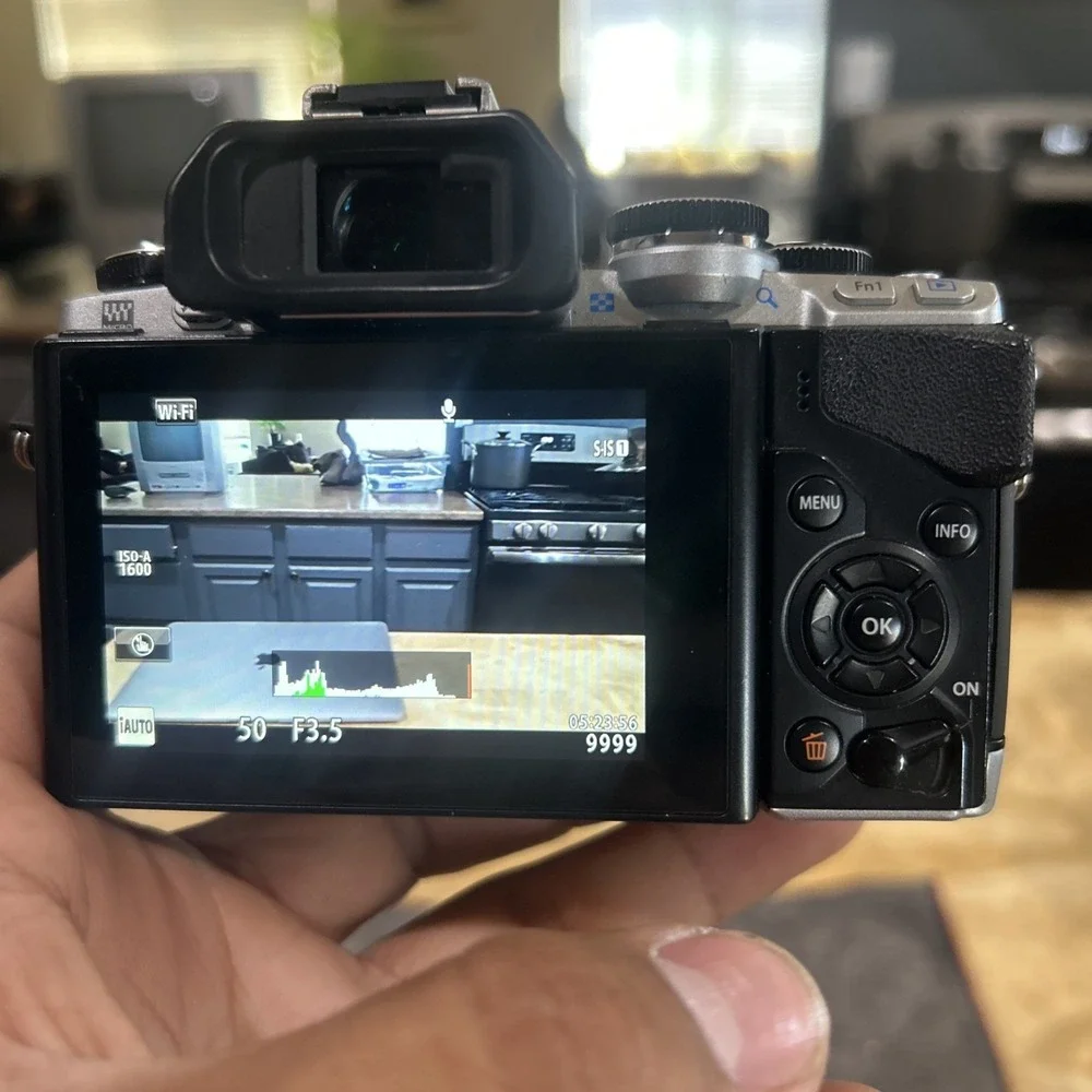 Olympus OM-D E-M10 16.1MP Digital Camera - Batteries Charger 64gb